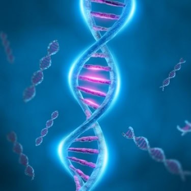 IUI –Intrauterine Insemination or Artificial Insemination (AI)